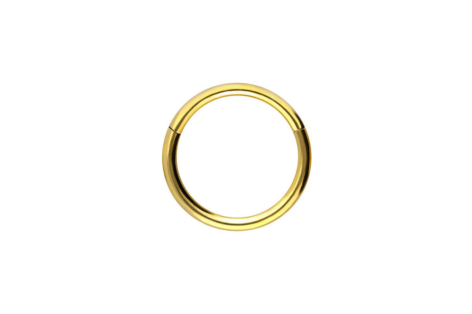 PIERCINGLINE Nasenpiercing Titan Segmentring Clicker Ohrpiercing Septum Nase (Clicker, 1-tlg), Ohrpiercing für Conch, Helix, Tragus, Daith, Lobe