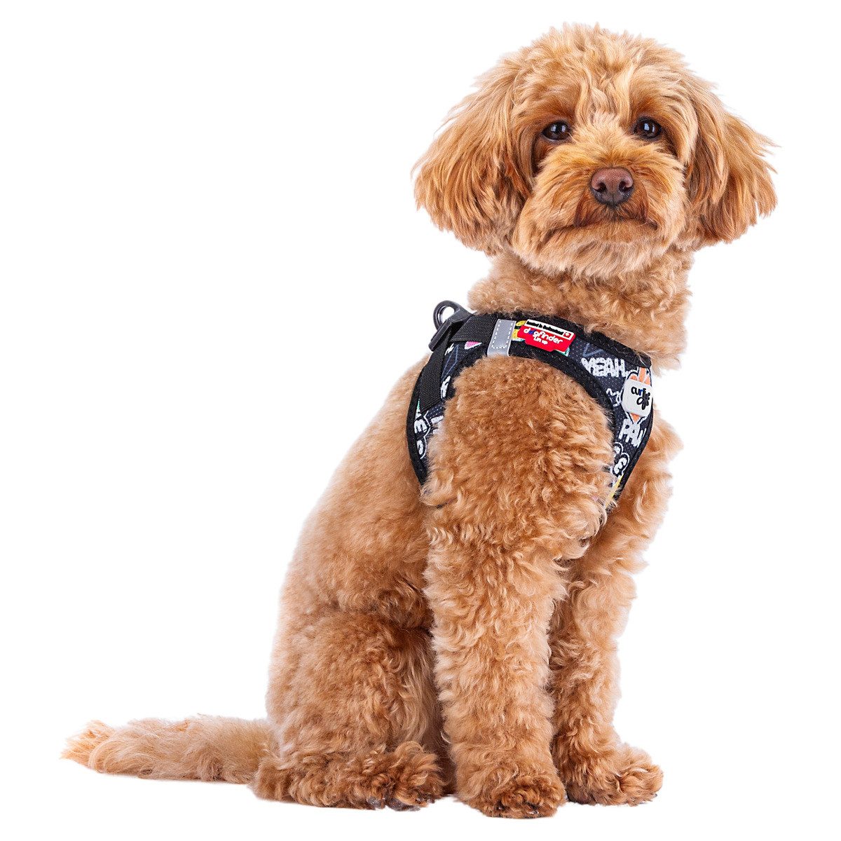 Curli Hunde-Geschirr Clasp Vest Geschirr Limited Edition 25 Comic Black