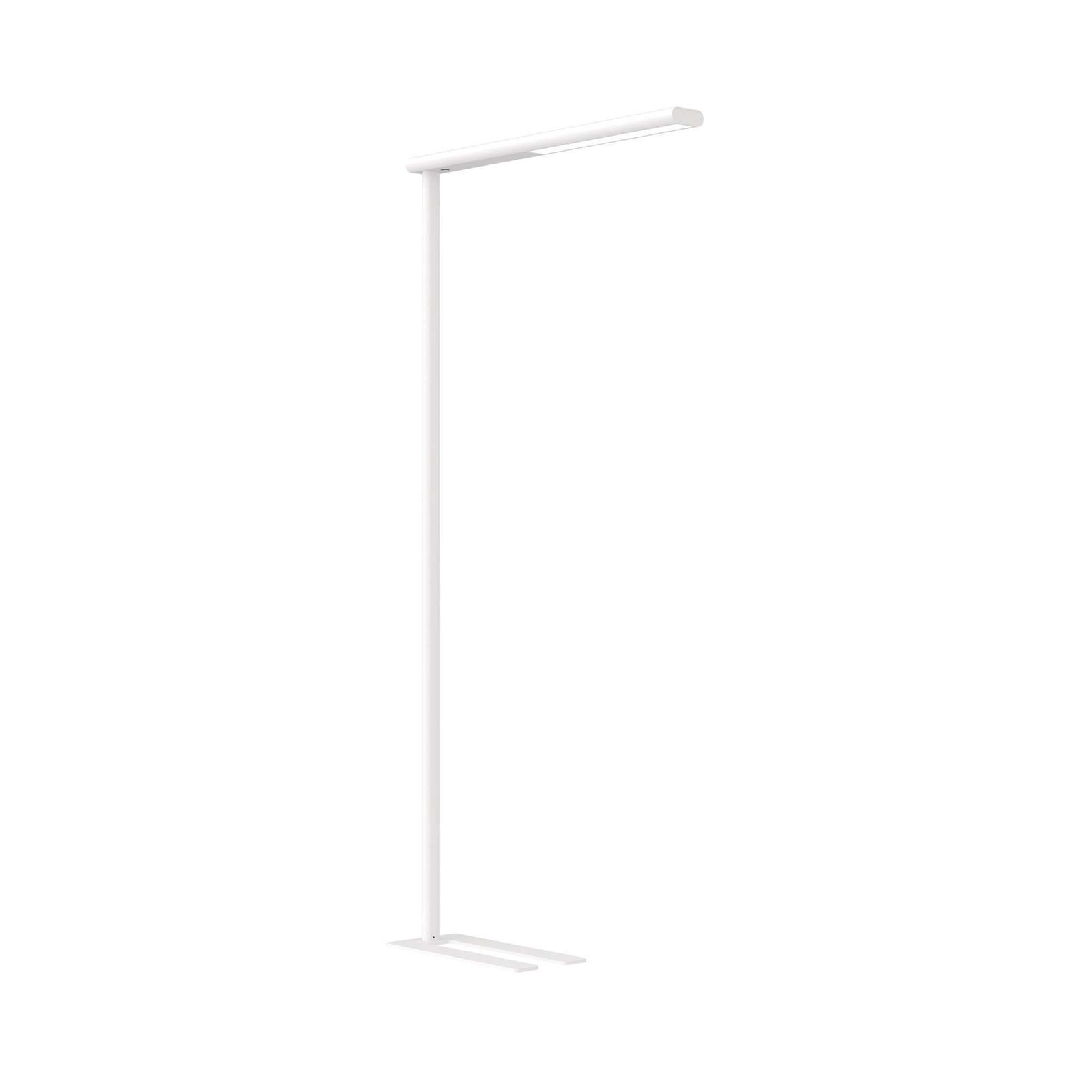 MAUL Stehlampe MAUL Standleuchte MAULjet LED 4.000 K dimmbar Standfuß 195 cm weiß, LED wechselbar