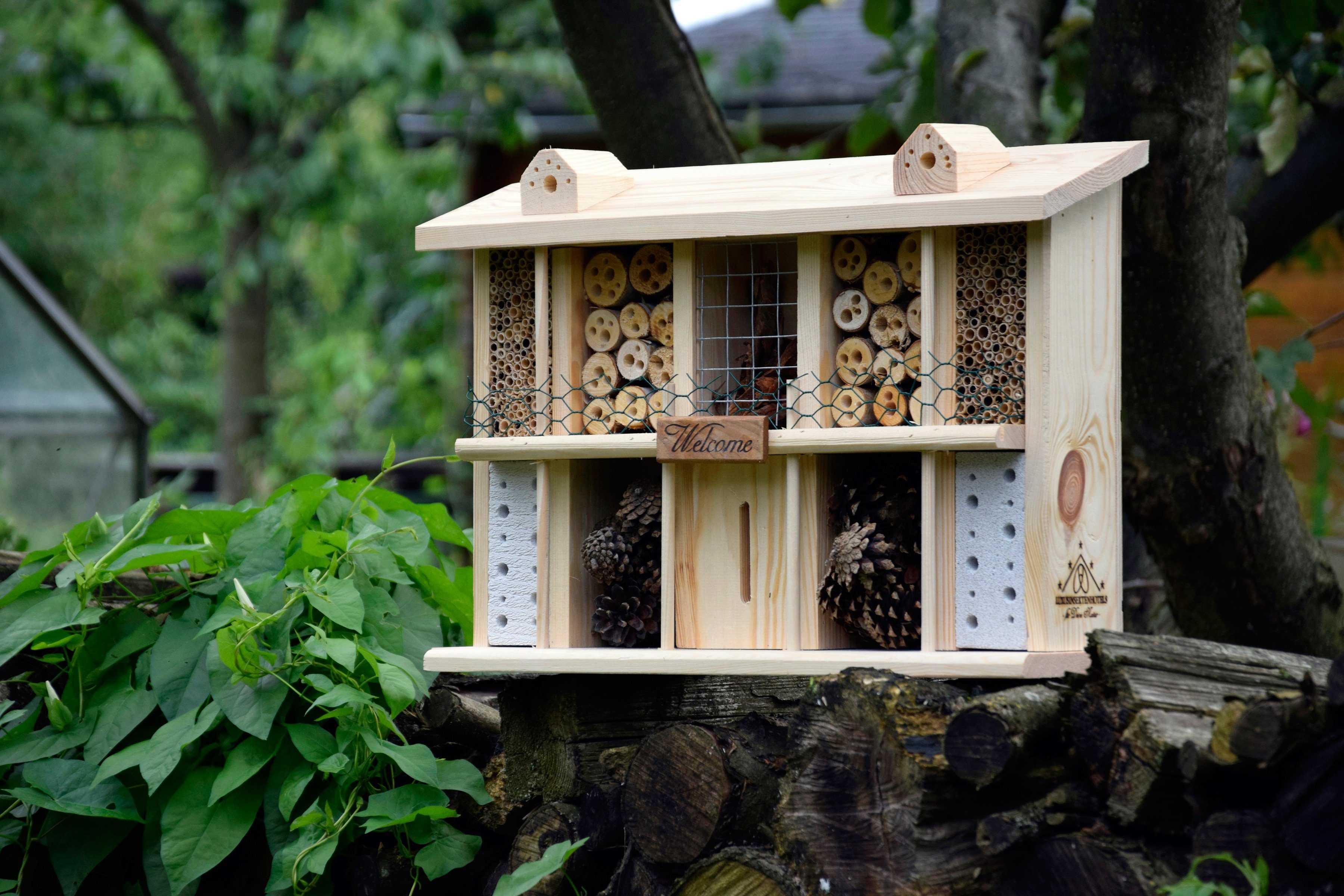 Blumen für bienen balkon