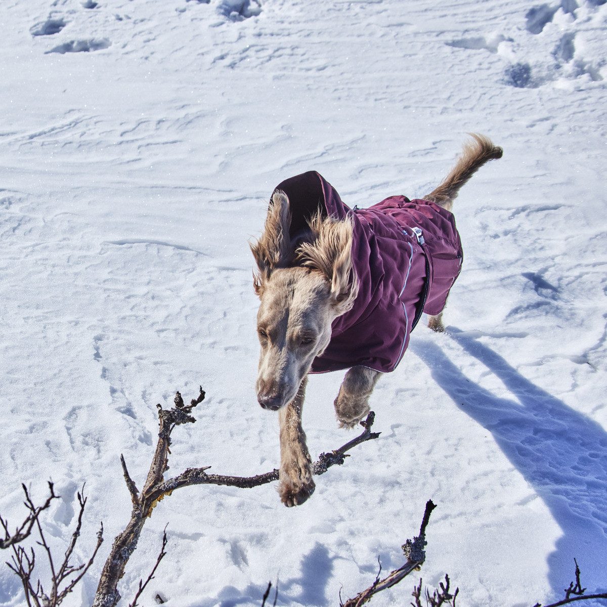 HURTTA Hundemantel Extreme warmer III (Wärmejacke) eggplant (aubergine)