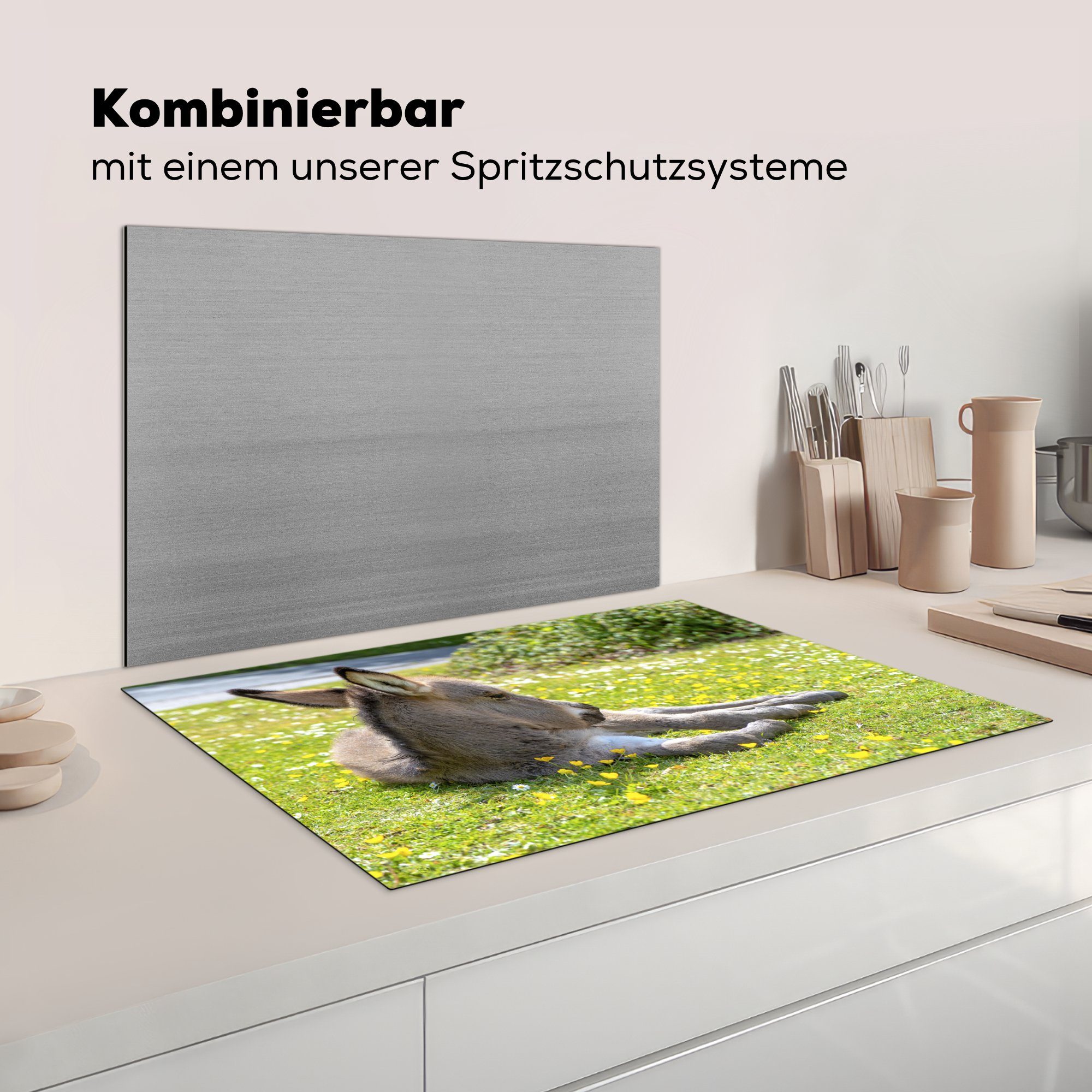 tlg), liegend, die MuchoWow Schutz Ceranfeldabdeckung cm, für Feld einem Herdblende-/Abdeckplatte Vinyl, mit 81x52 auf Induktionskochfeld küche, Esel (1 Blumen