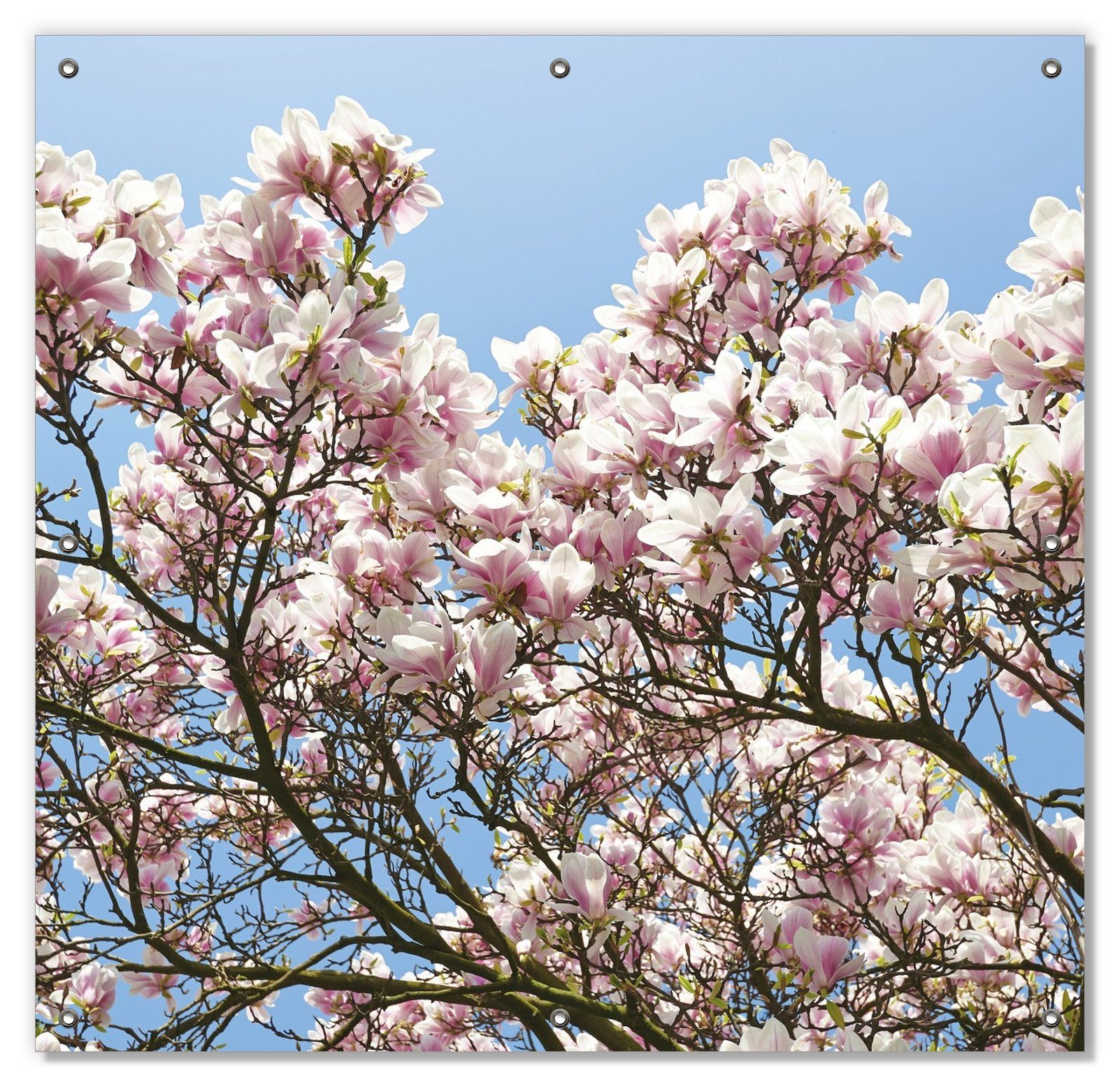 Sonnenschutz Schöne rosa mit blauem wiederablösbar und Himmel, Magnolien-Blüten Saugnäpfen, wiederverwendbar blickdicht, Wallario, vor