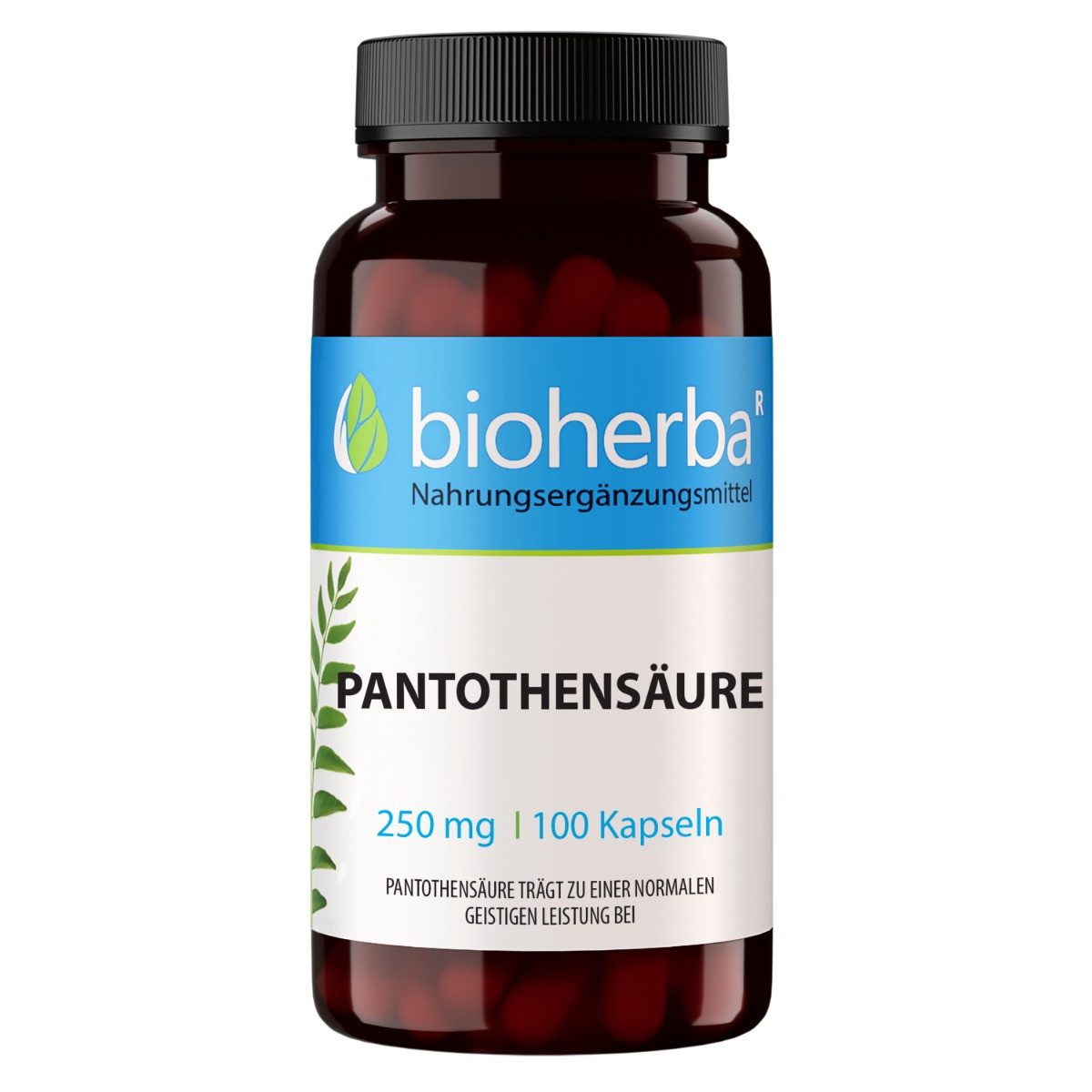 BIOHERBA R Pantothensäure 250 mg 100 Kapseln Nahrungsergänzungsmittel