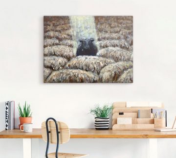 Artland Wandbild Schwarzes Schaf, Haustiere (1 St), als Leinwandbild in verschied. Größen