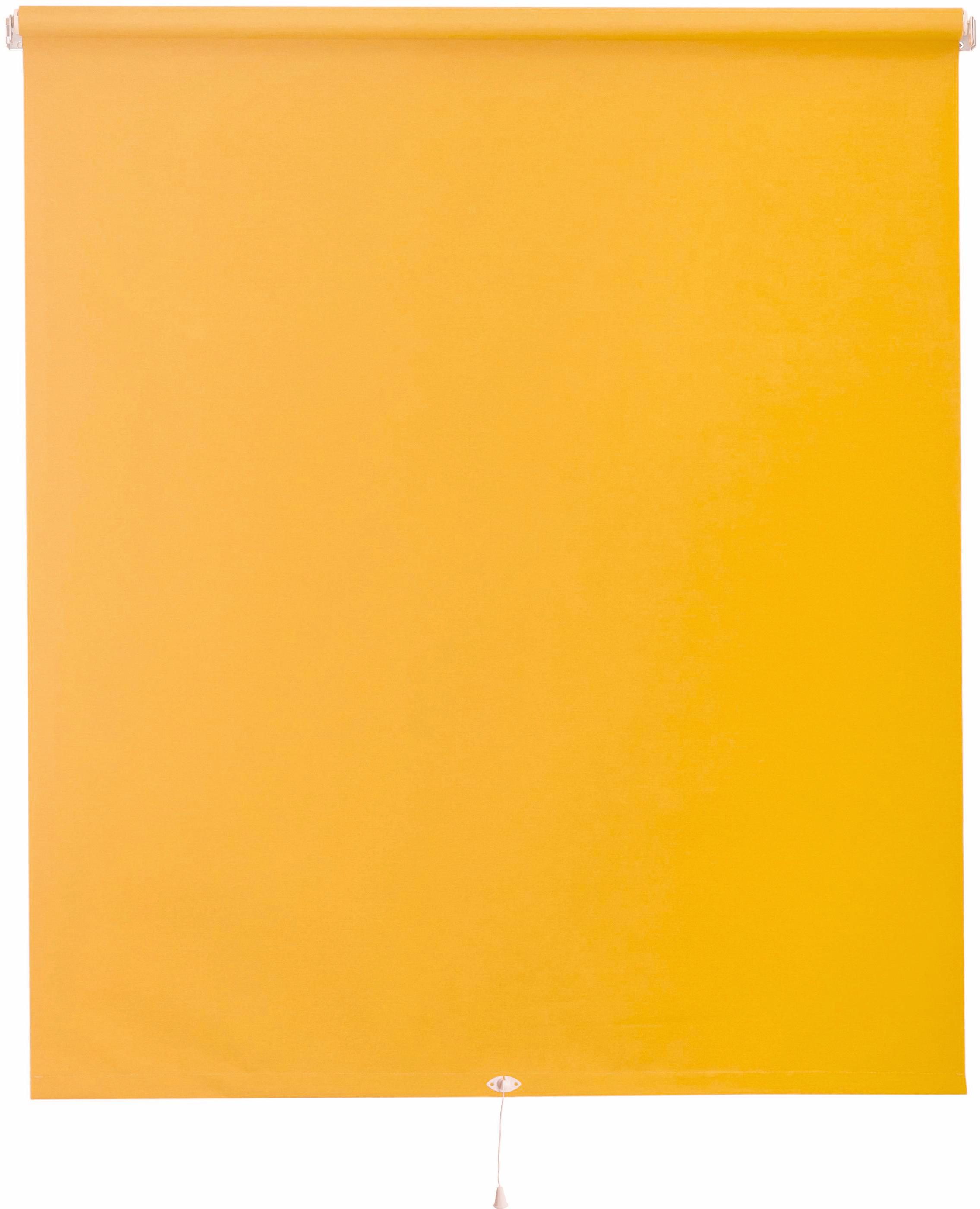 Springrollo, Sunlines, »Uni«, im Fixmaß (1 Stück), Verdunkelung online