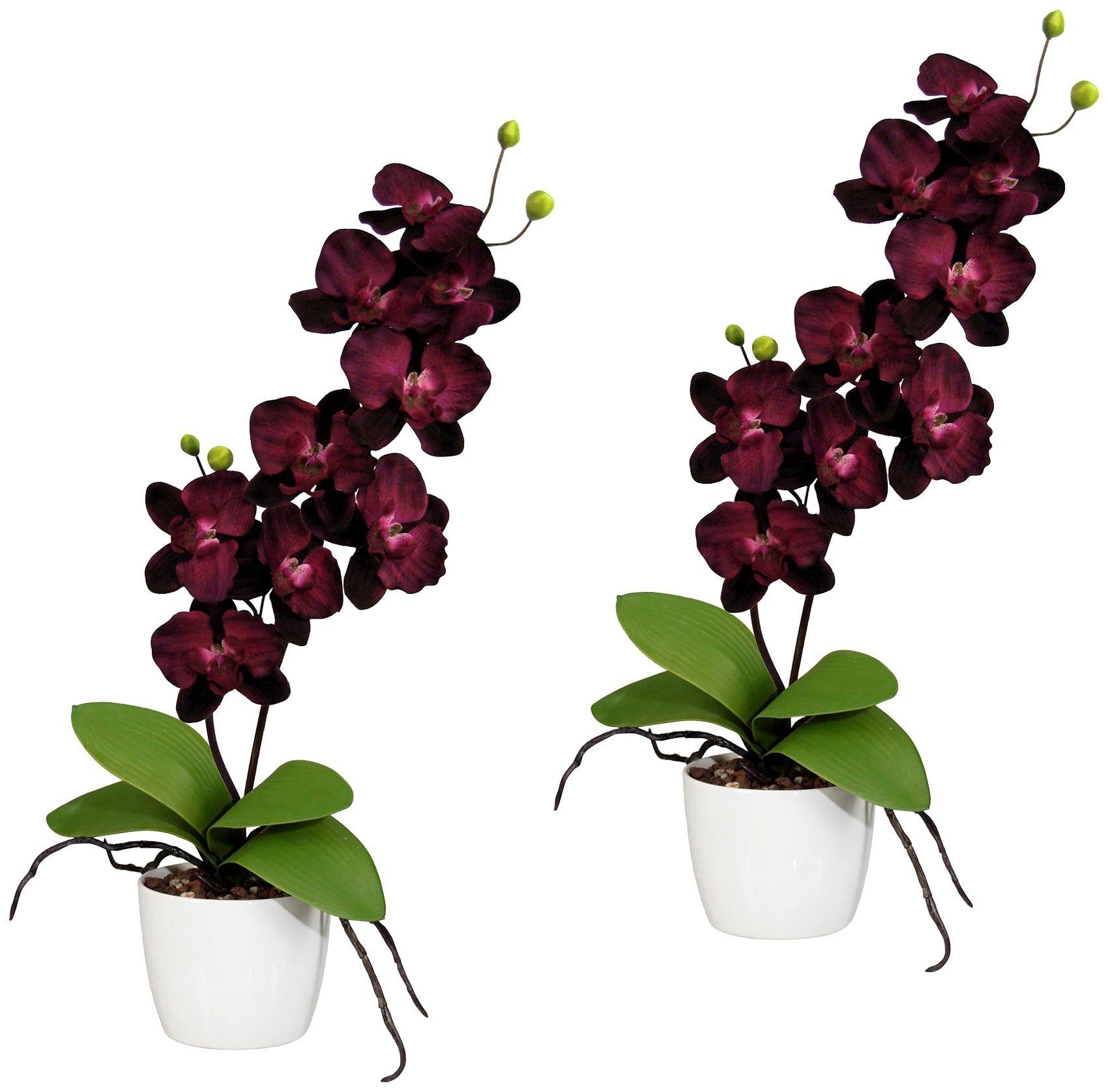 Kunstpflanze Orchidee Phalaenopsis Orchidee, Creativ green, Höhe 60 cm, im Keramiktopf