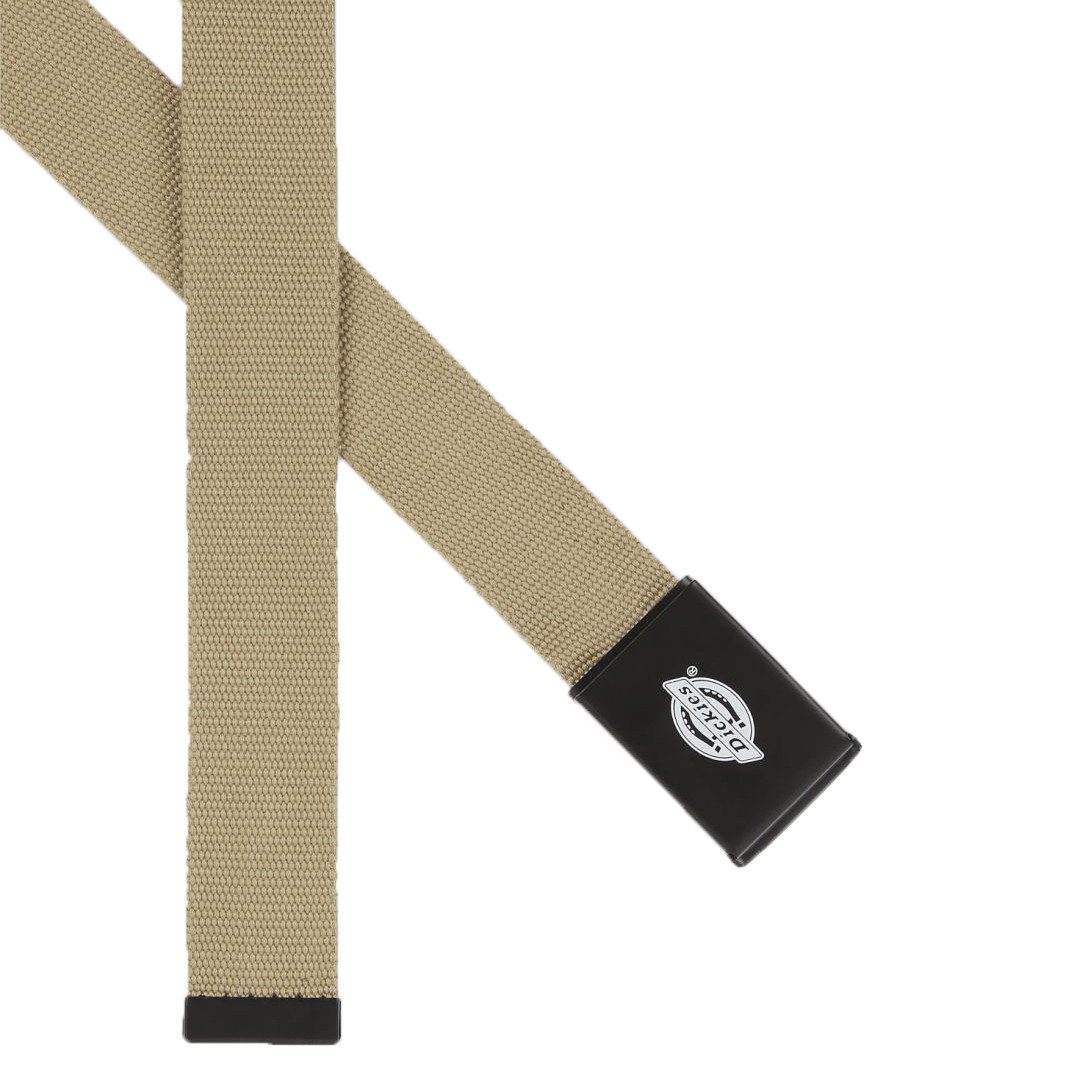 Dickies Stretchgürtel ORCUTT WEBBING BELT ORCUTT günstig online kaufen