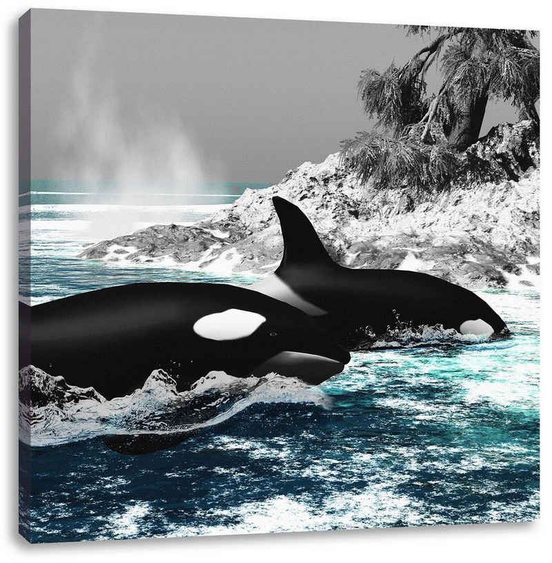 Pixxprint Leinwandbild schöne Orcas vor Insel, schöne Orcas vor Insel (1 St), Leinwandbild fertig bespannt, inkl. Zackenaufhänger