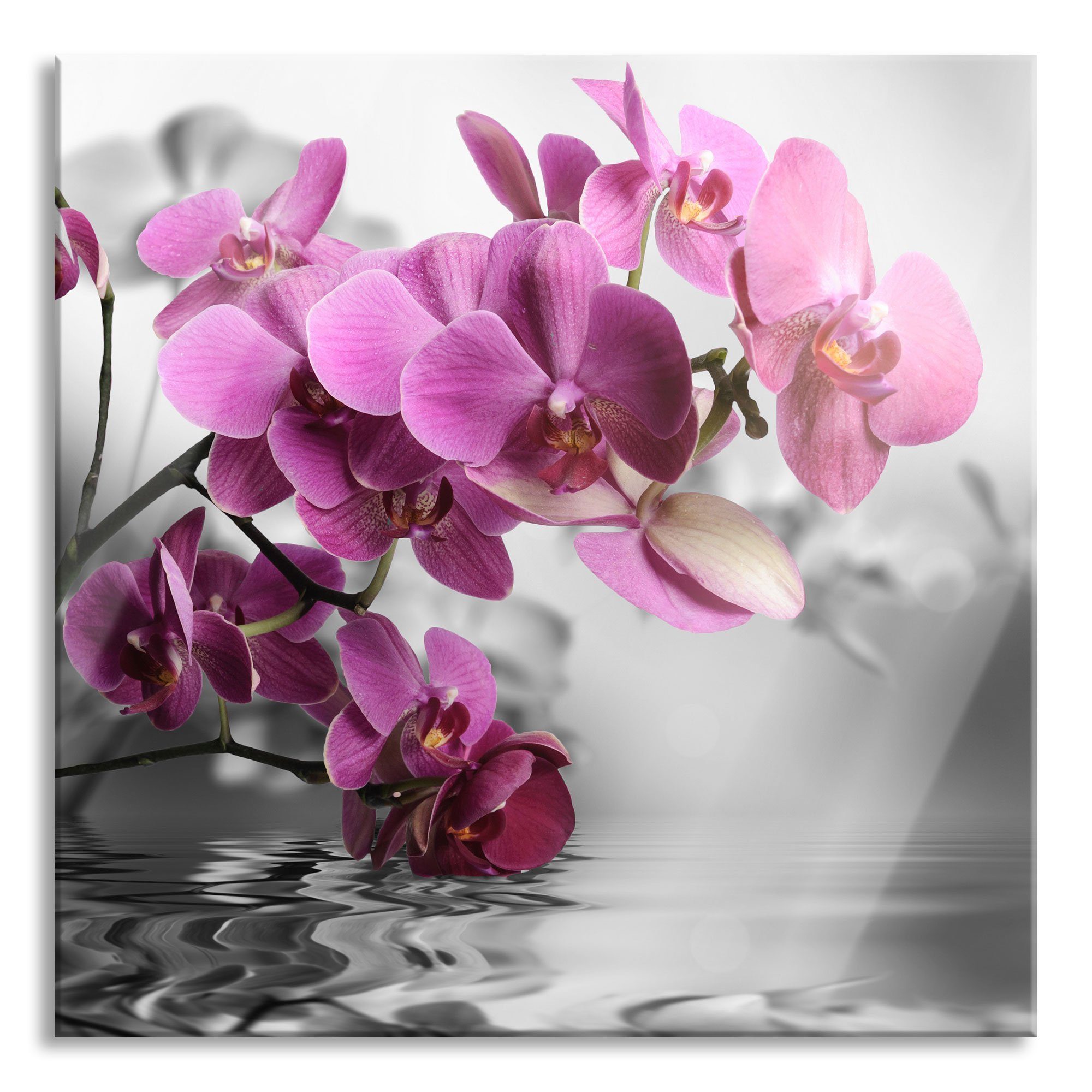 Pixxprint Glasbild Orchideenblüten über Wasser, Orchideenblüten über Wasser (1 St), Glasbild aus Echtglas, inkl. Aufhängungen und Abstandshalter