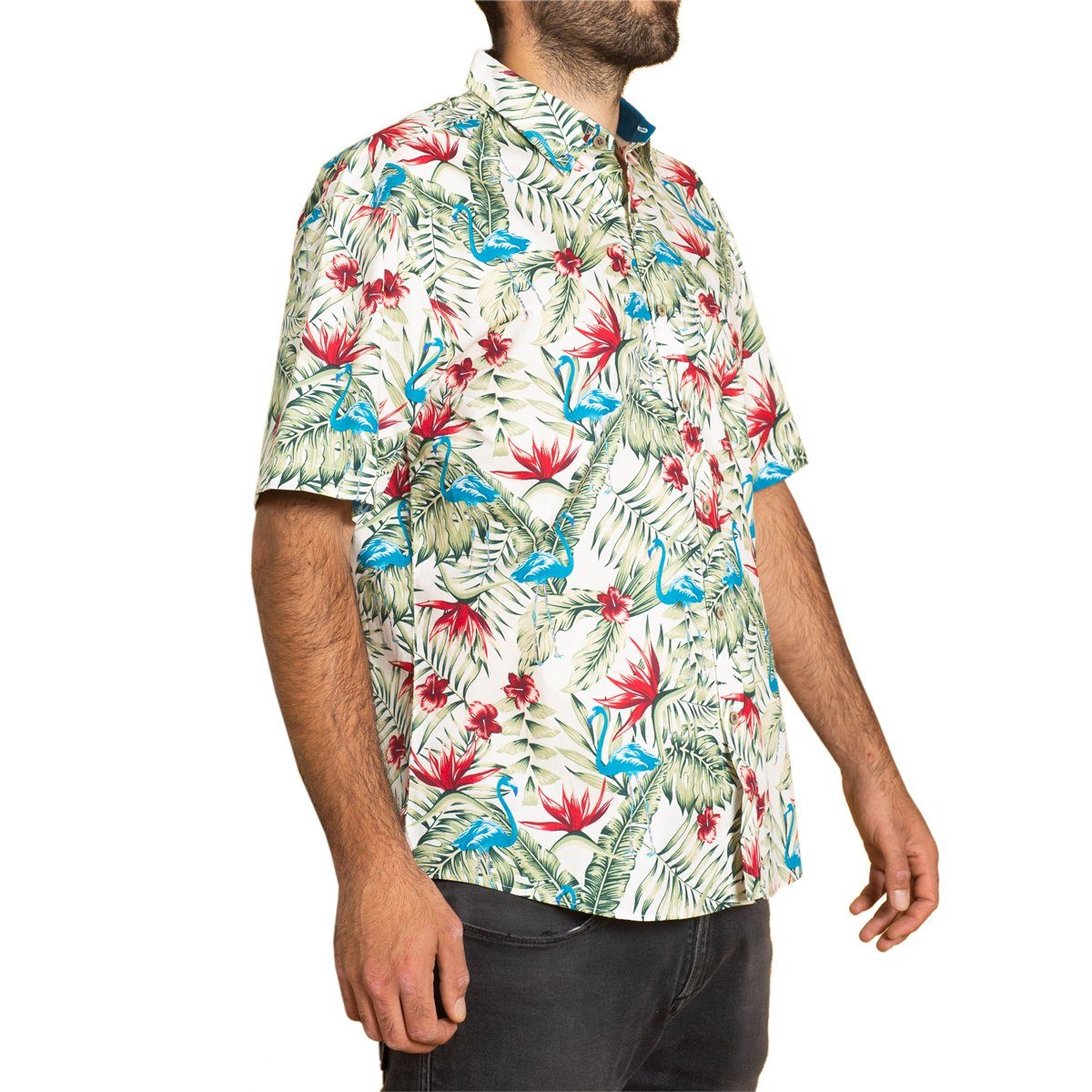 PANASIAM Hawaiihemd Herren Freizeithemd in tropisch buntem Design aus 100 % Baumwolle leichtes Kurzarmhemd für den Sommer bequem und luftig