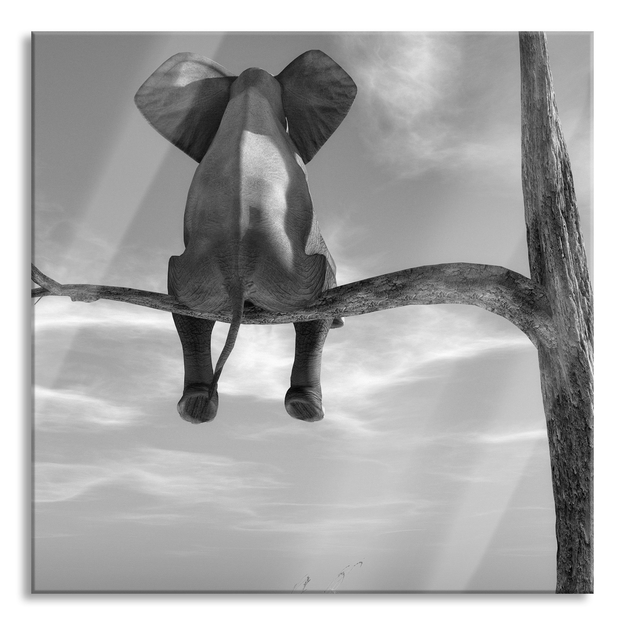 Glasbild Elefant auf einem Ast in der Wüste