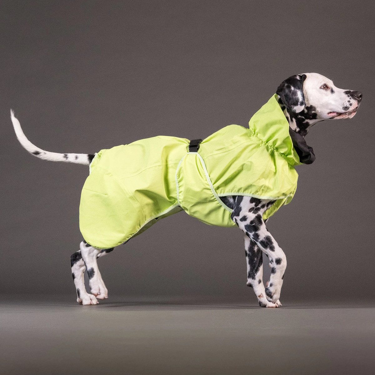 PAIKKA Hunderegenmantel Hunde Regenmantel reflektierend "Visibility Raincoat" matcha
