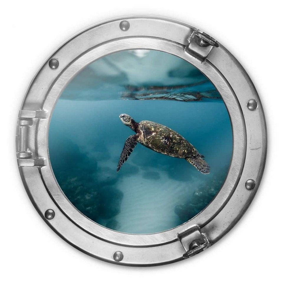 k&l wall art gemälde glas wandbild rund glasbild relax badezimmer bullauge  schildkröte, wandschutz deko bilder