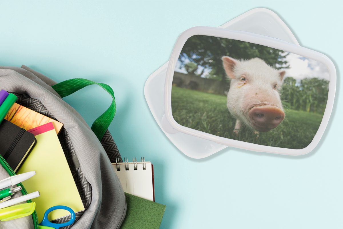 MuchoWow Lunchbox Kunststoff, und Gras, - (2-tlg), Kinder und für Brotdose, Jungs Mädchen Nahaufnahme Erwachsene, weiß für Schwein - Brotbox