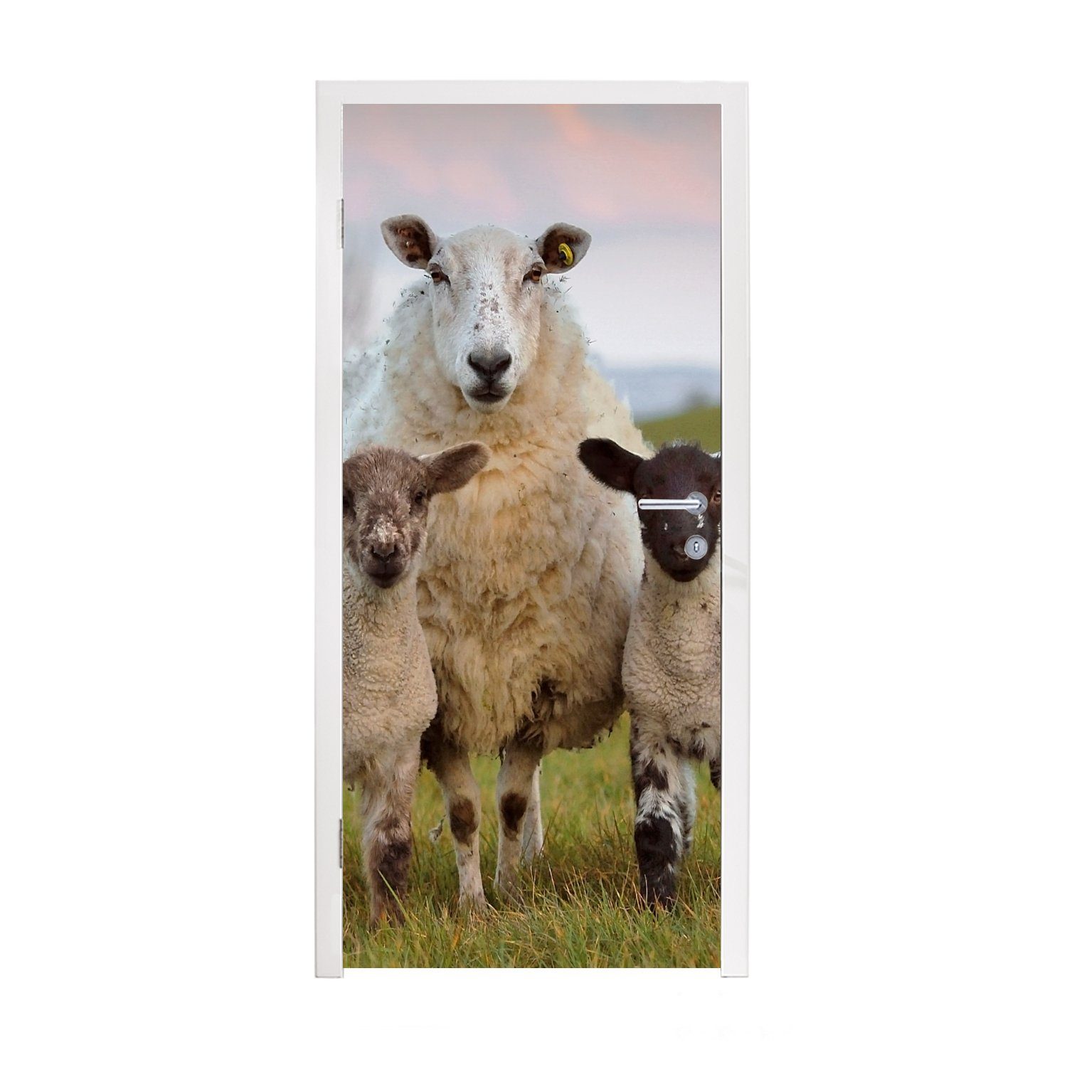 MuchoWow Türtapete Schafe - Natur - Schwarz - Weiß, Matt, bedruckt, (1 St), Fototapete für Tür, Türaufkleber, 75x205 cm