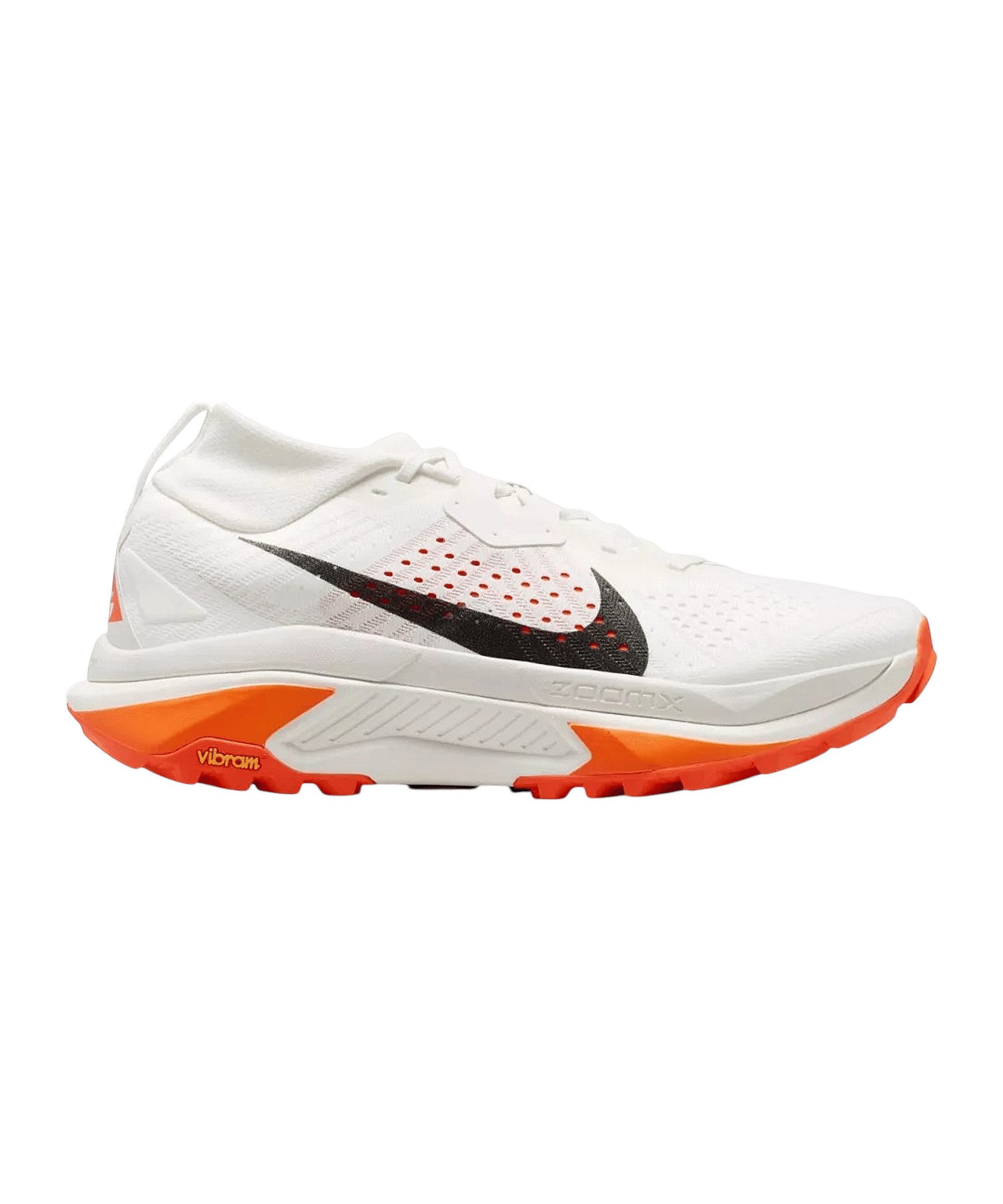 Nike Nike Performance ACG Zegama Laufschuh Laufschuh