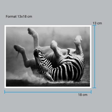 wandmotiv24 Poster Zebra, Tier, Afrika, Schwarz & Weiss (1 St), Wandbild, Wanddeko, Poster in versch. Größen
