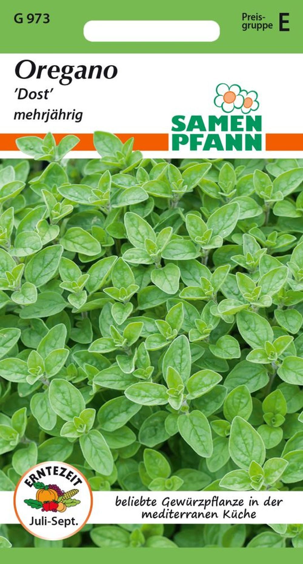 SAMEN PFANN Kräutersamen Oregano/Dost - Kräuter-Samen Gewürz Saatgut Samen, Origanum vulgare