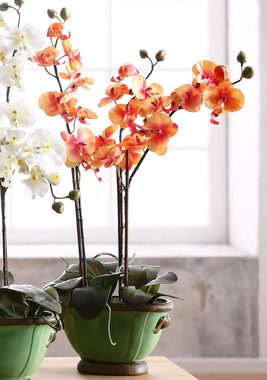 Kunstpflanze »Orchidee« Phalaenopsis, I.GE.A., Höhe 60 cm