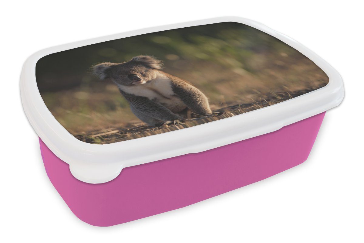 MuchoWow Lunchbox Koala - Sonne - Tier - Kinder - Jungen - Mädchen, Kunststoff, (2-tlg), Brotbox für Erwachsene, Brotdose Kinder, Snackbox, Mädchen, Kunststoff rosa