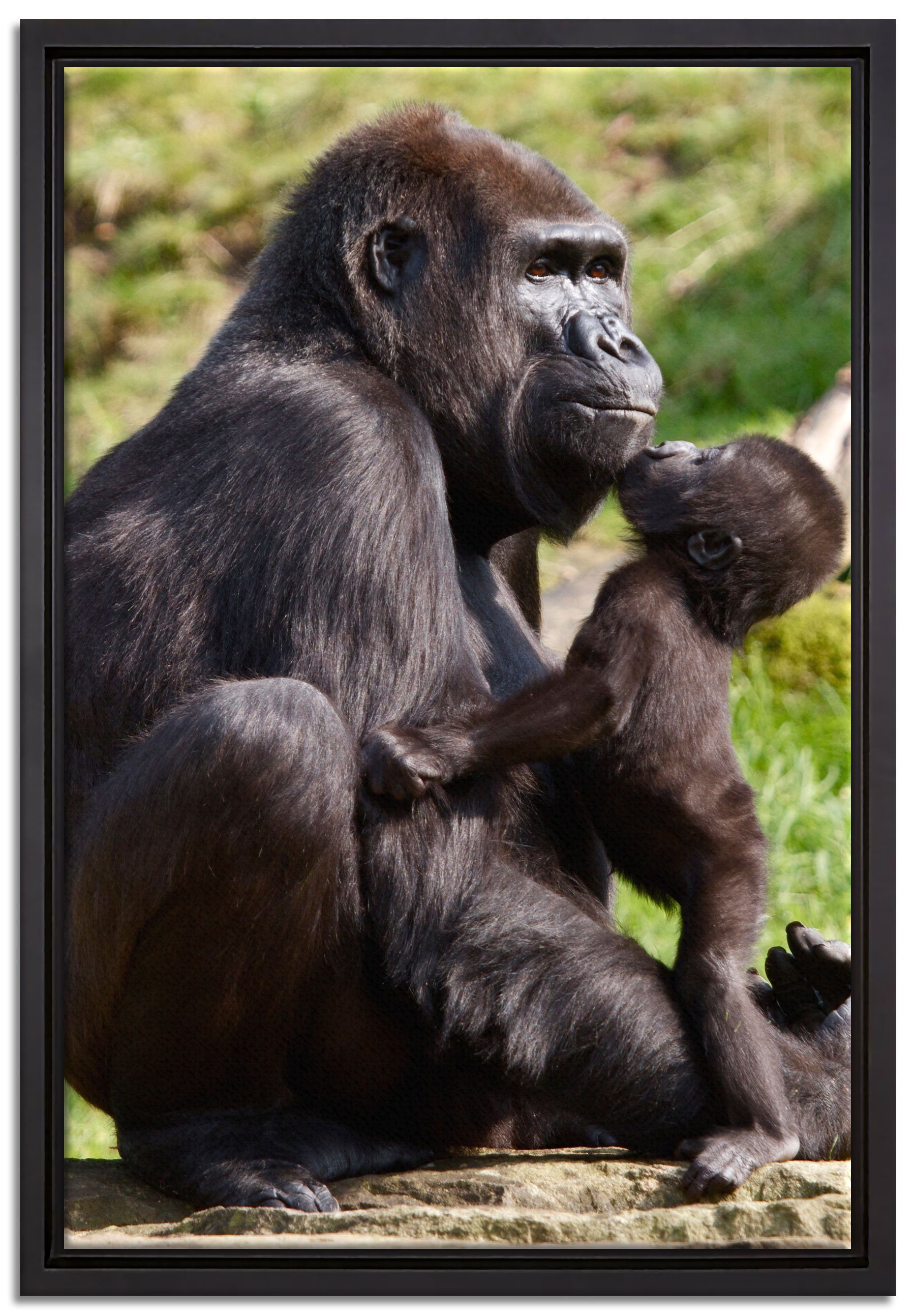 gefasst, einem Zackenaufhänger Mutter, seine Leinwandbild inkl. Pixxprint Wanddekoration Schattenfugen-Bilderrahmen Gorilla-Baby fertig in (1 St), bespannt, Leinwandbild küsst