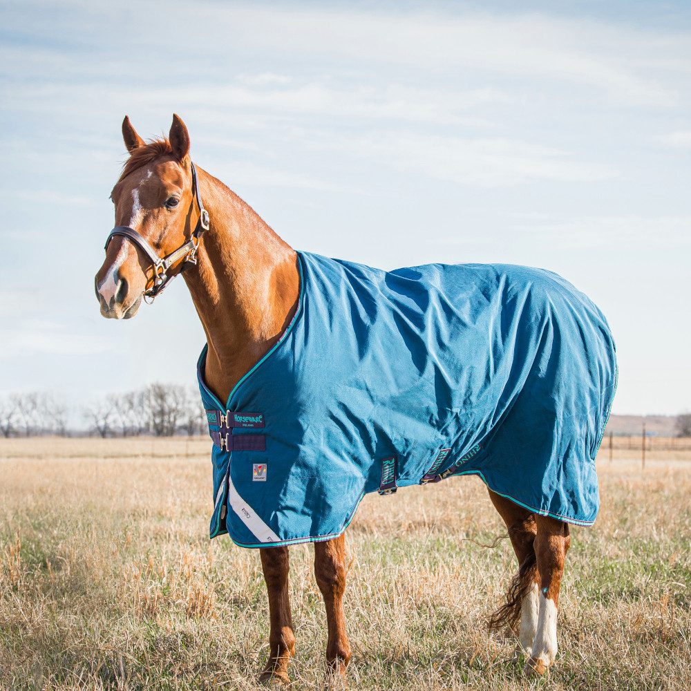 Pferde-Thermodecke Horseware Rhino Original Turnout Medium Vari Layer 250g - Navy/Grey