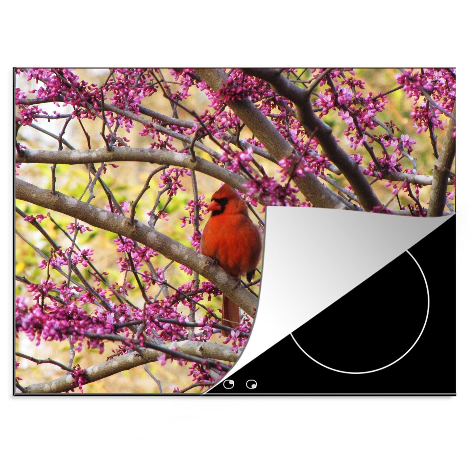 MuchoWow Herdblende-/Abdeckplatte Ein roter Kardinal zwischen rosa Blumen, Vinyl, (1 tlg), 70x52 cm, Mobile Arbeitsfläche nutzbar, Ceranfeldabdeckung