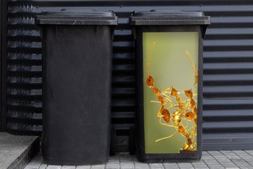 MuchoWow Wandsticker Ameisen - Orange - Tiere (1 St), Mülleimer-aufkleber, Mülltonne, Sticker, Container, Abfalbehälter