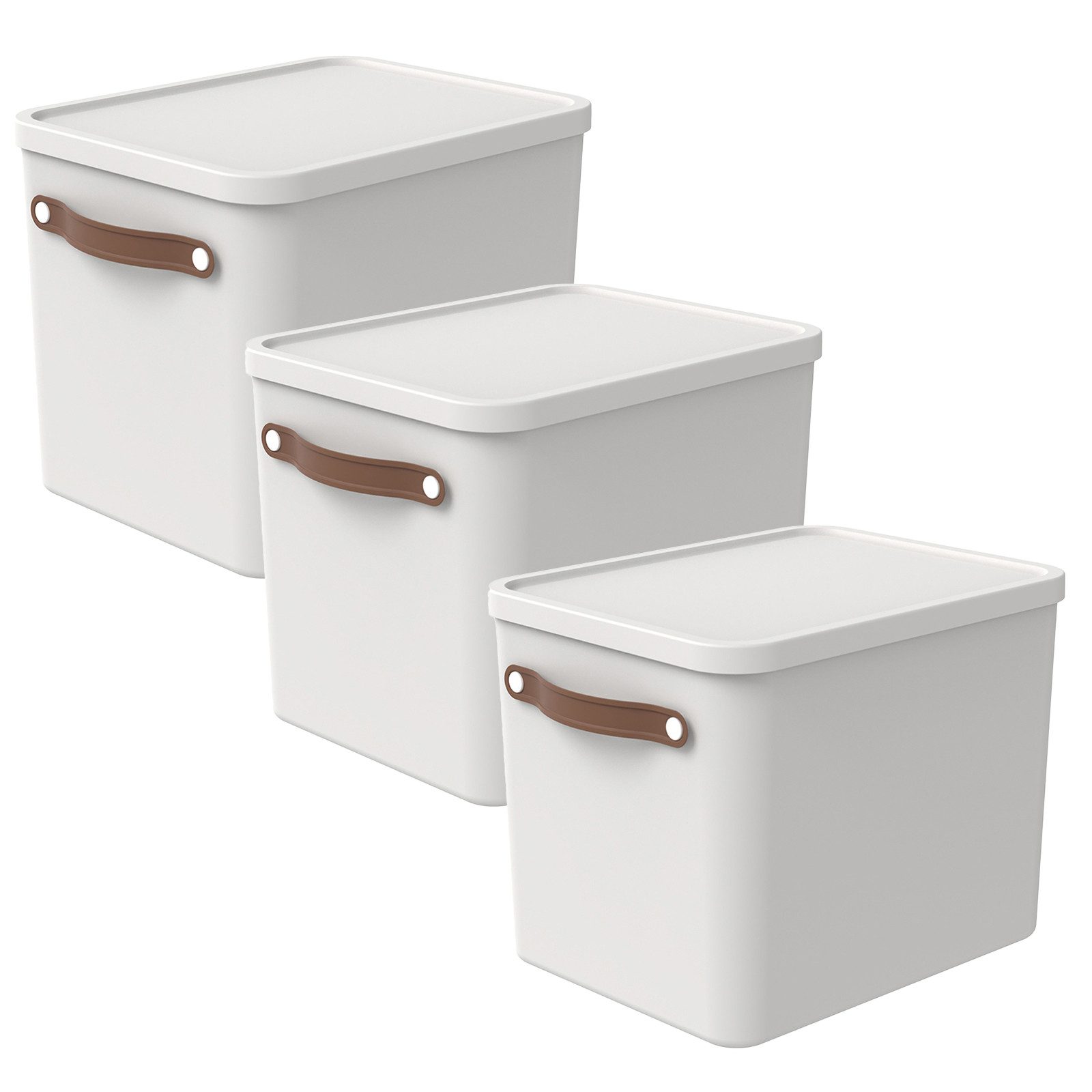 ROTHO Aufbewahrungsbox (3er-Set, 3er-Set)