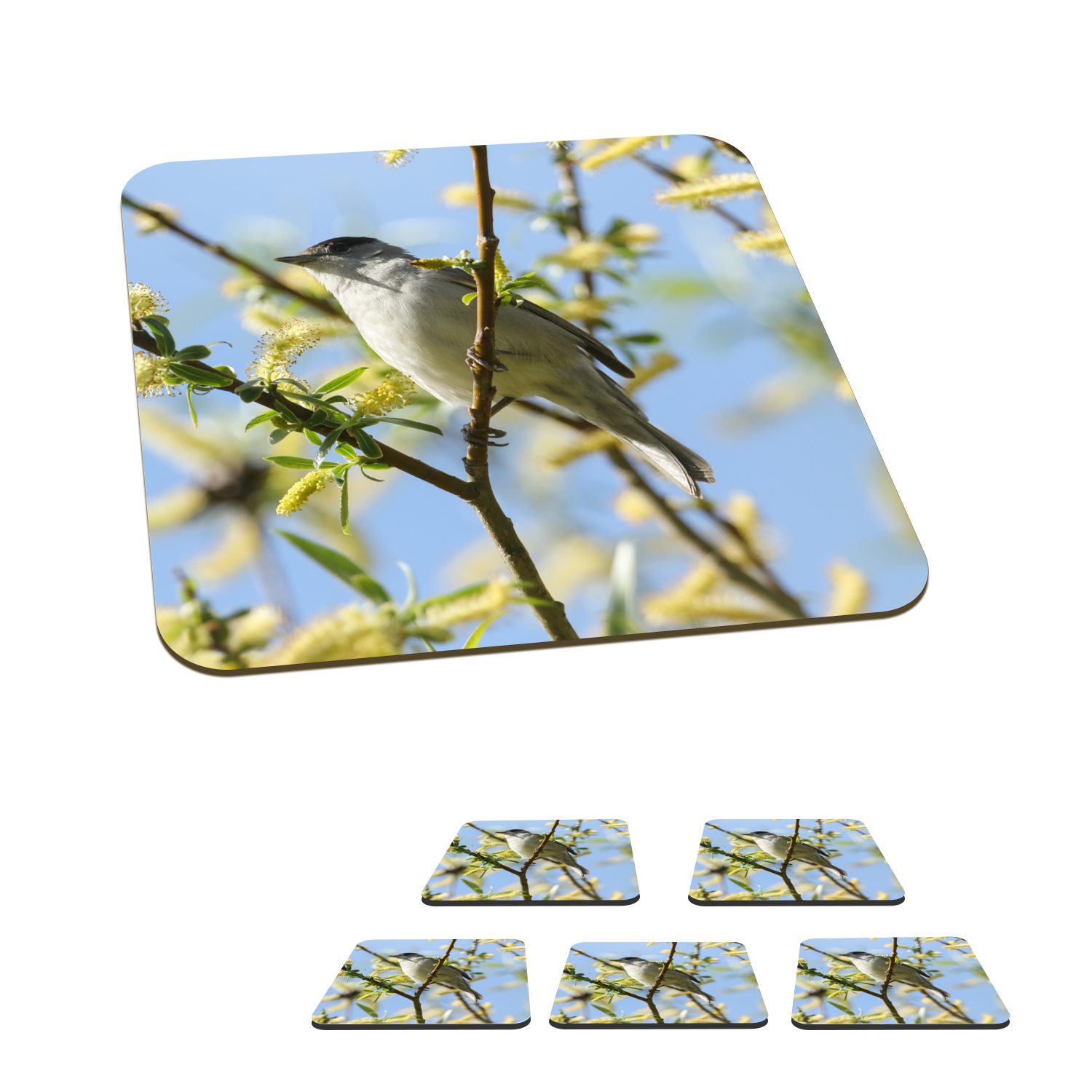 MuchoWow Glasuntersetzer Vogel im Baum, Zubehör für Gläser, 6-tlg., Glasuntersetzer, Tischuntersetzer, Korkuntersetzer, Untersetzer, Tasse