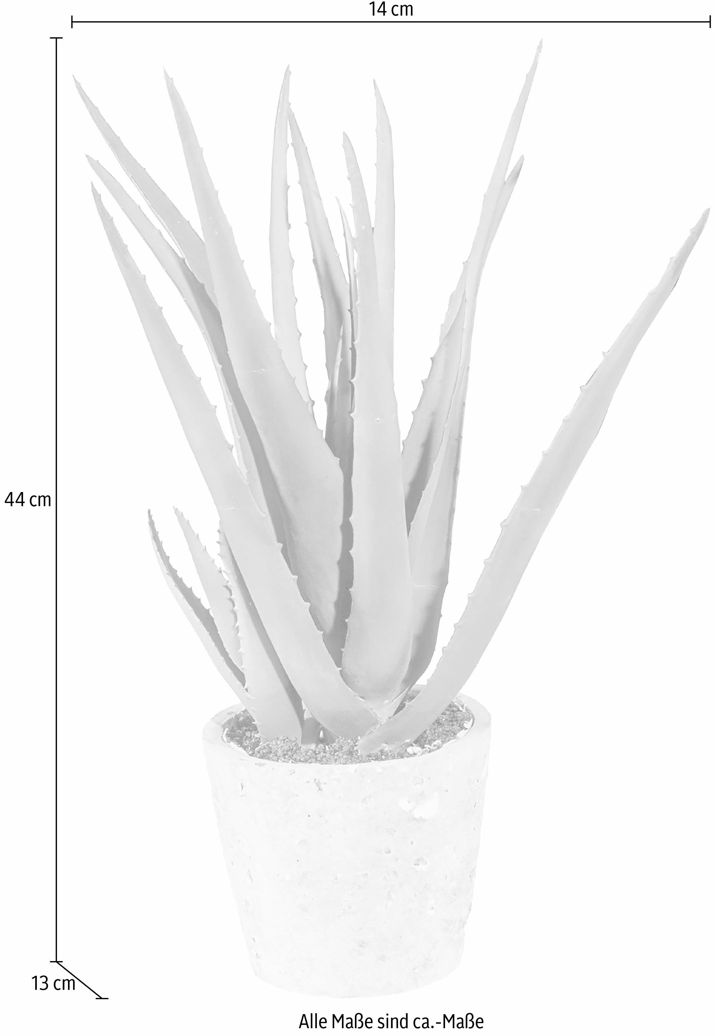 Kunstpflanze »Aloe«, Creativ green, Höhe 44 cm-kaufen