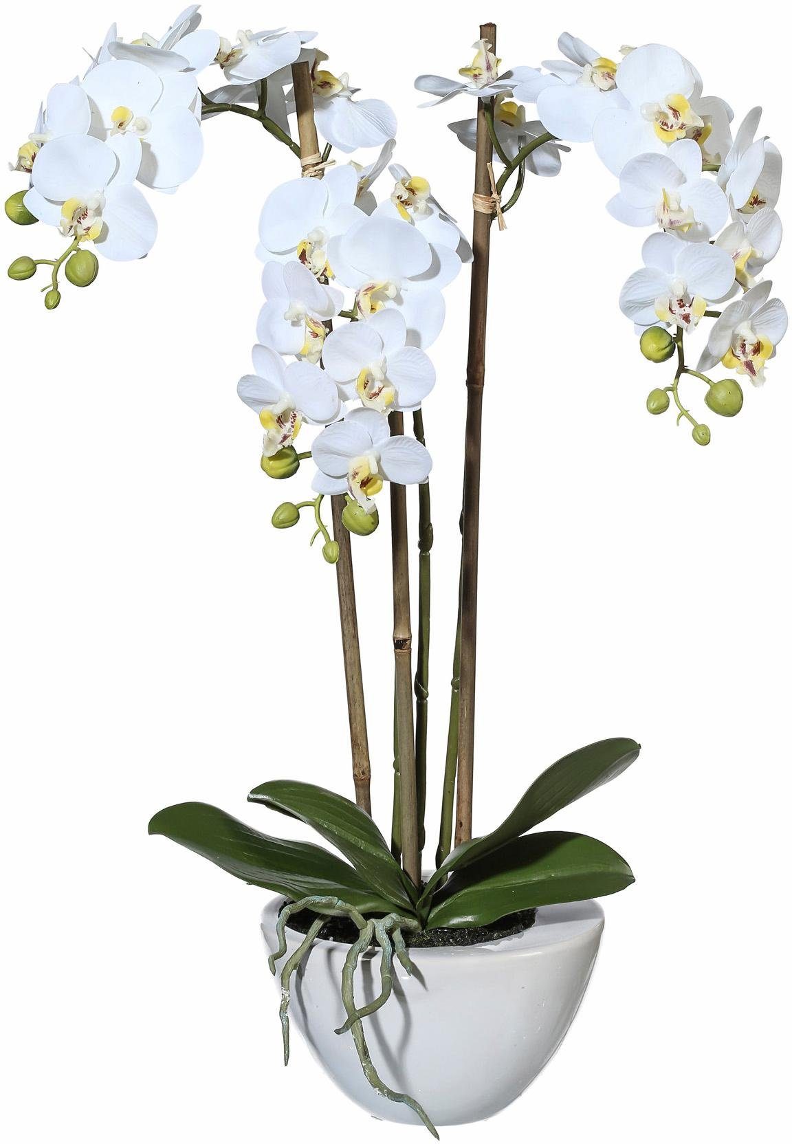 Kunstpflanze »Mini Orchidee«, Creativ green, Höhe 51 cm