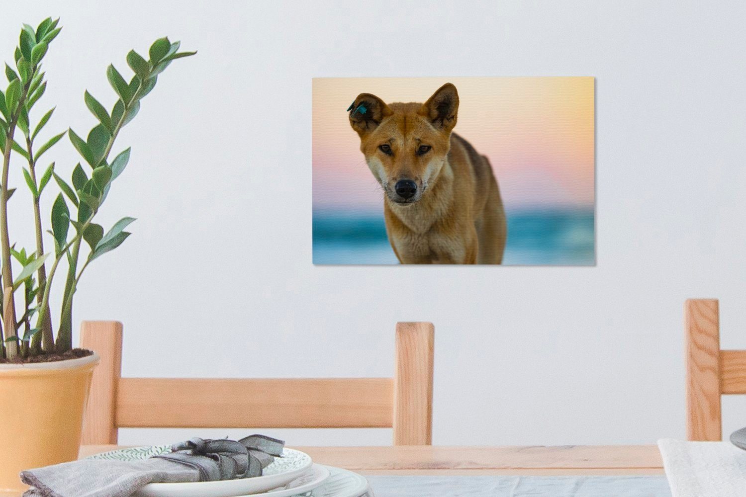 Dingo-Hund Leinwandbilder, St), Portraitfoto 30x20 (1 Leinwandbild Aufhängefertig, Hintergrund, verblasstem cm vor Wandbild OneMillionCanvasses® Wanddeko,