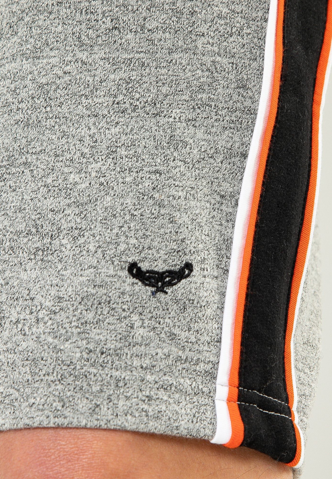 Threadbare Shorts Sweatshorts Hudson (1-tlg) im coolen Design