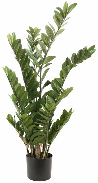 Kunstpflanze »Zamifolia«, Creativ green, Höhe 110 cm-Otto
