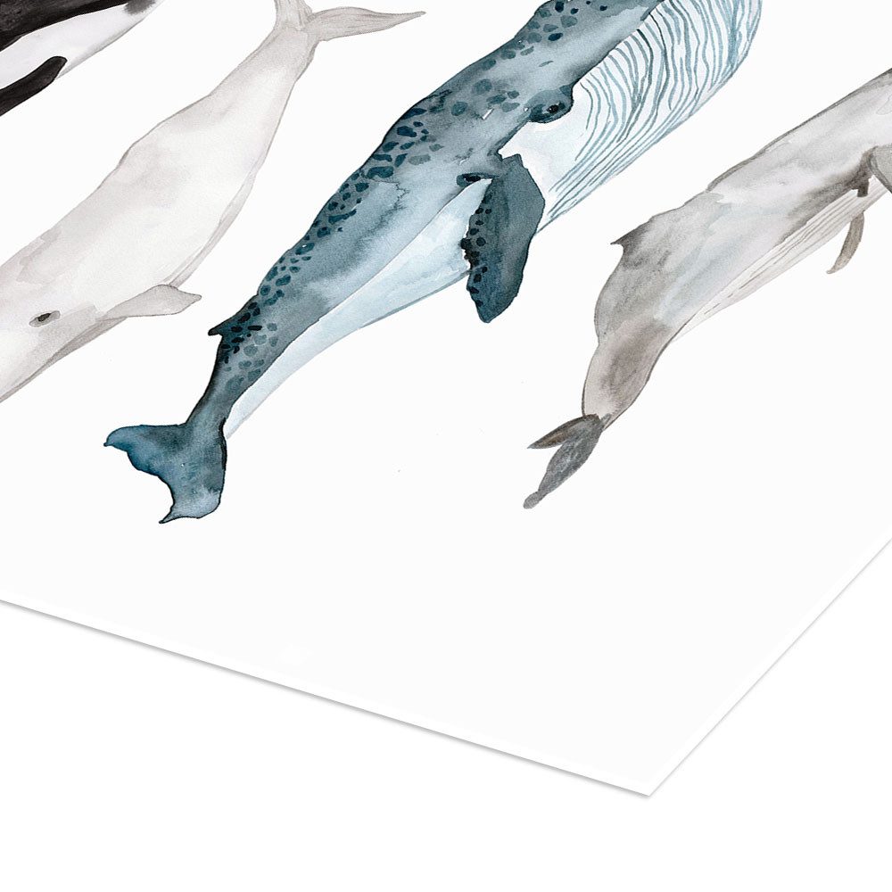 Posterlounge Wandbild Leben im Meer, Wale, Mantika Studio, erhältlich als Poster, Leinwandbild, Wandsticker oder Acrylglasbild