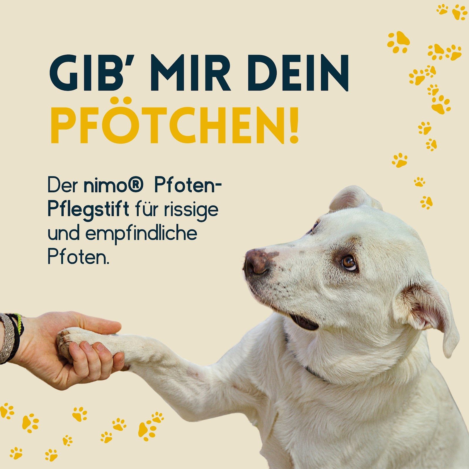 nimo Pfotenpflege Pfoten Pflegestift, 40 ml, (1-St), schützt vor heißem Asphalt, Streusalz & Eisbildung