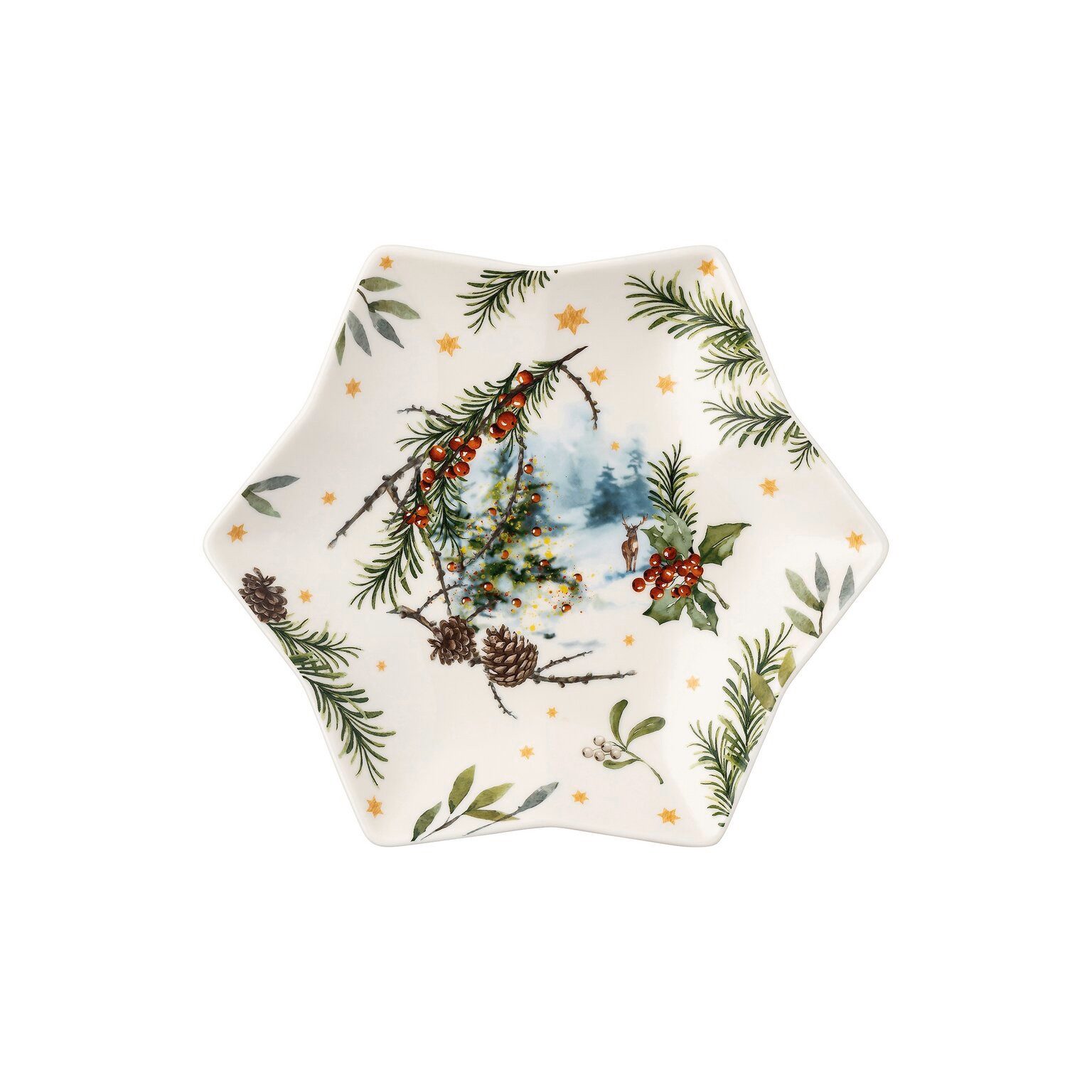 Hutschenreuther Schüssel Hutschenreuther Sammelserie 2023 Sternschale, Porzellan, Porzellan