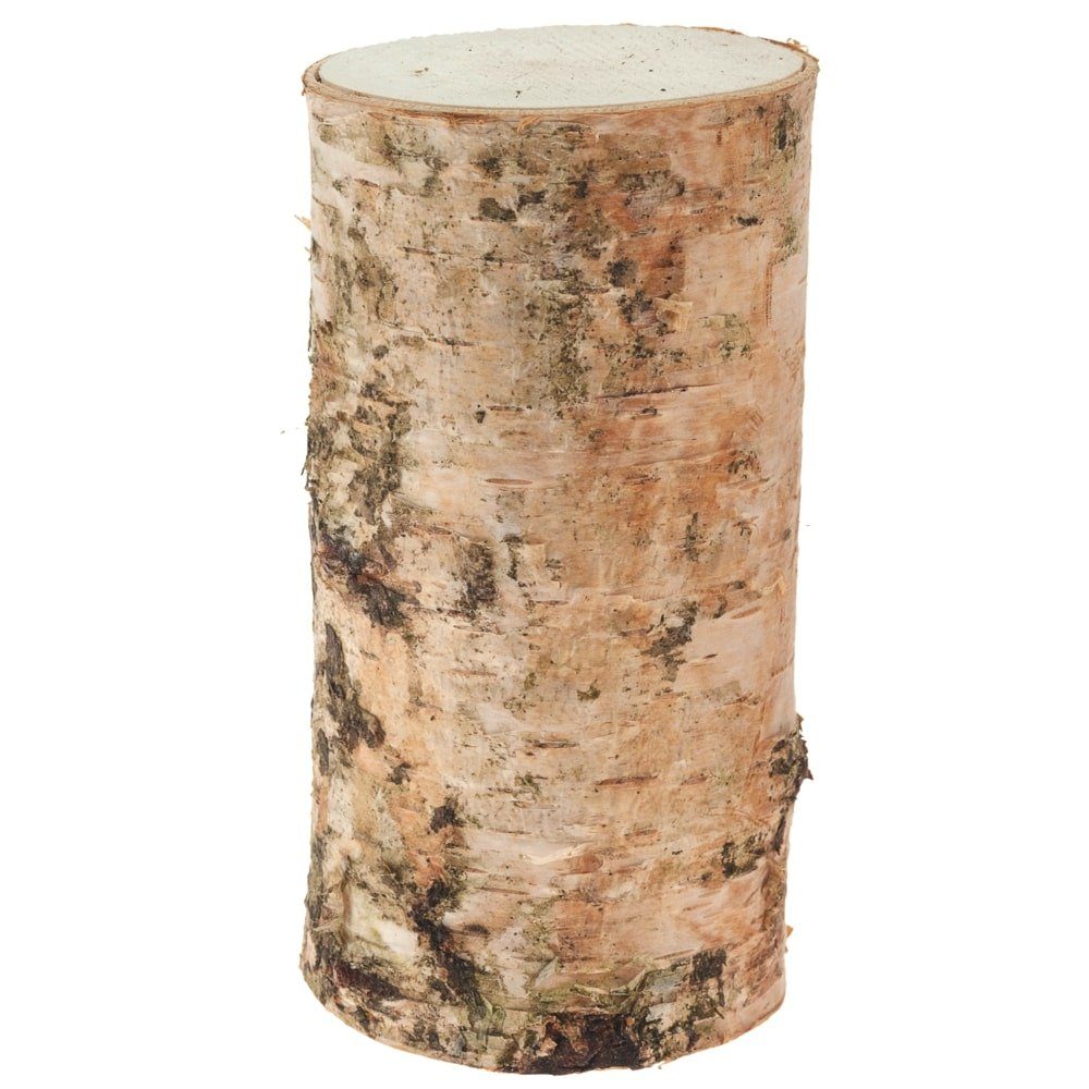 Bastelnaturmaterial Birkenstämmchen für Basteln Deko in 5 x 10 cm