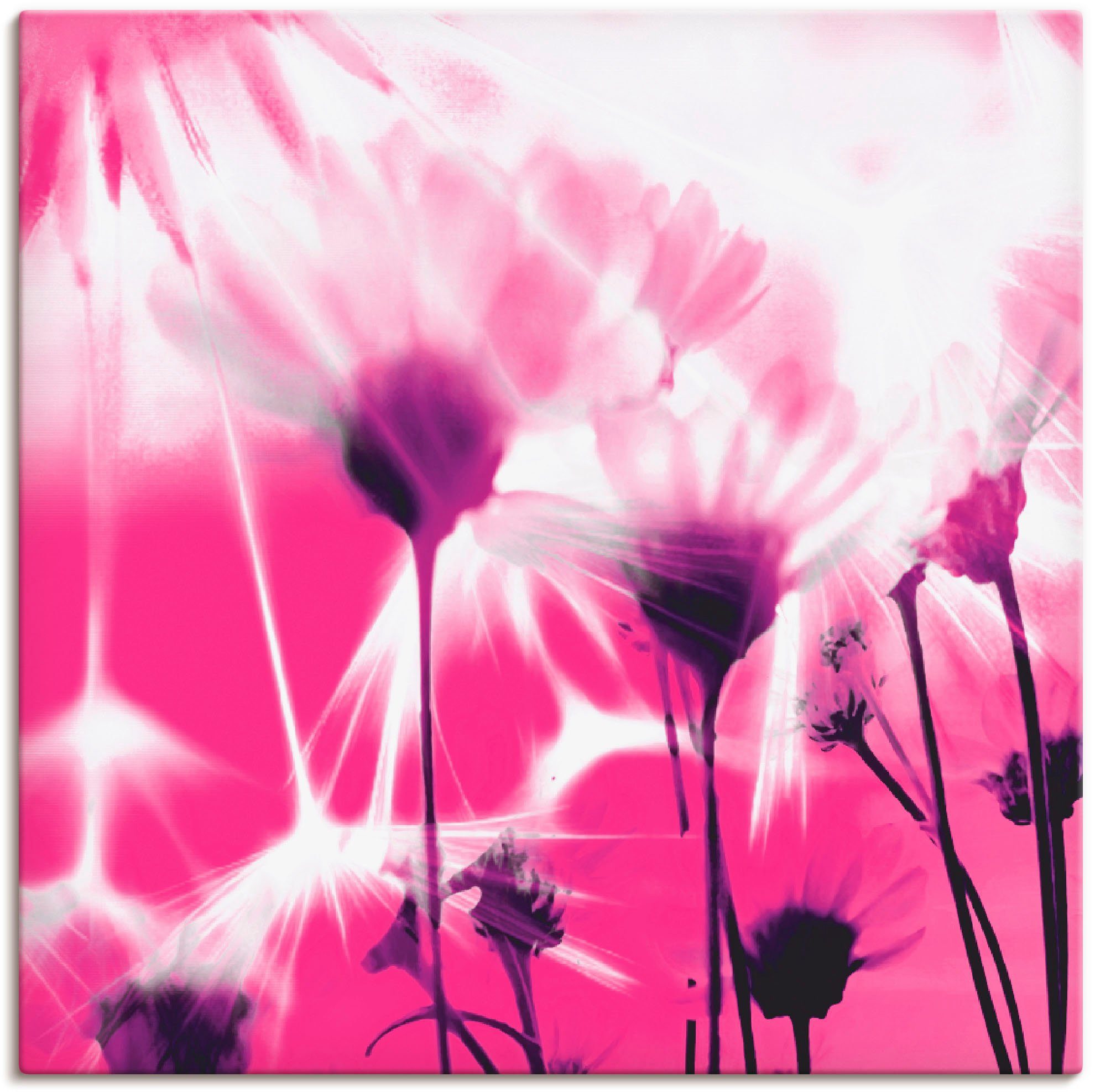 Artland Wandbild Pusteblume abstrakt, Blumen (1 St), als Leinwandbild, Wandaufkleber oder Poster in versch. Größen