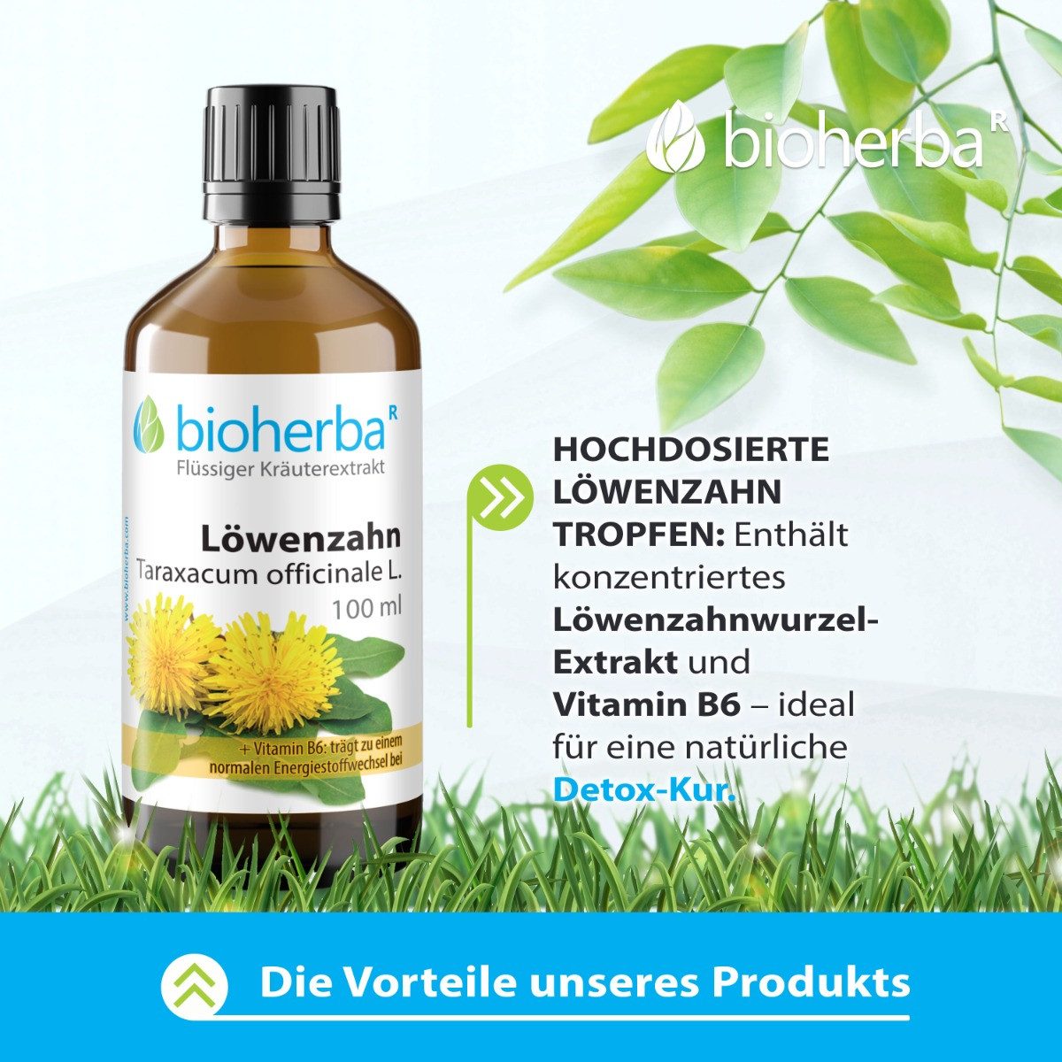 BIOHERBA R Bioherba Löwenzahn Taraxacum officinale L. Tropfen Tinktur 100 ml Glasflasche, 1 er