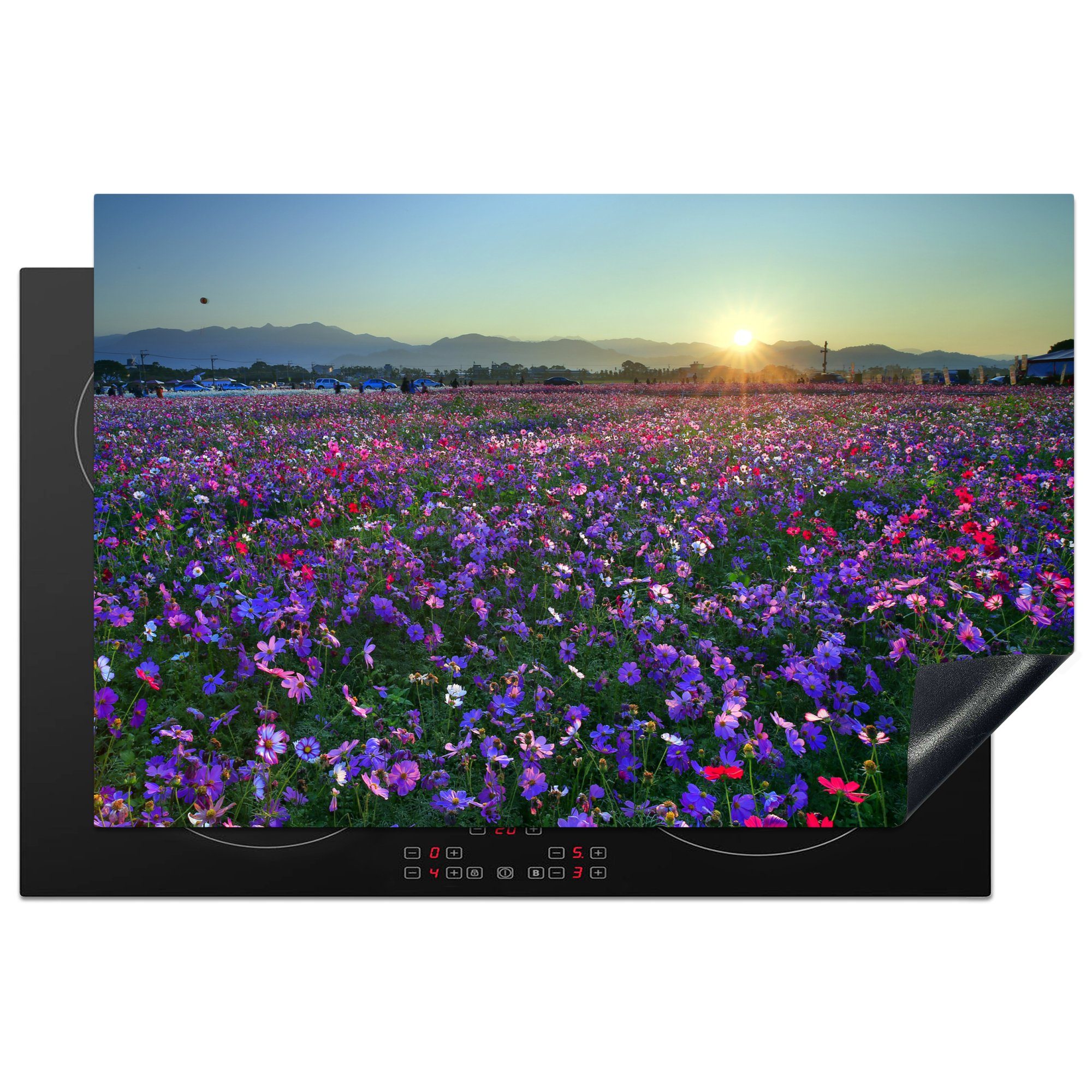 MuchoWow Herdblende-/Abdeckplatte Blumen - Lila - Sonnenuntergang, Vinyl, (1 tlg), 81x52 cm, Induktionskochfeld Schutz für die küche, Ceranfeldabdeckung