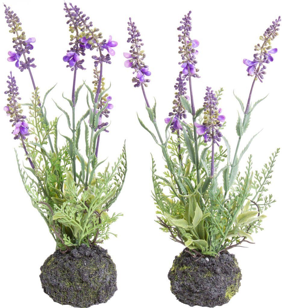 Künstliche Zimmerpflanze Lavendel Lavendel, Botanic-Haus, 30 Höhe cm