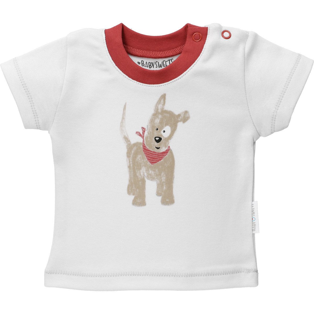 Baby Sweets T-Shirt & Shorts Little Paw Unisex Kinder (2-tlg) Shirt, T-Shirt, Shorts, Kurze Hose, Set Shirt Shorts