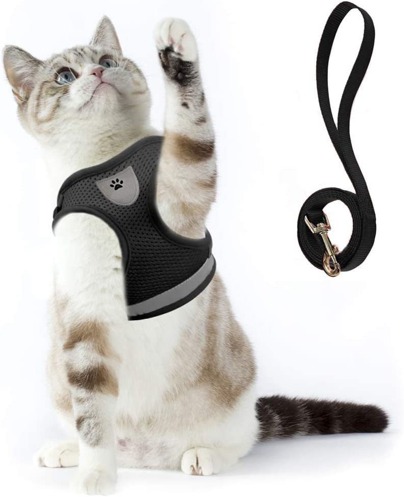 Ledander Hunde-Geschirr Katzengeschirr mit Leine für Hunde Katzen Weich Mesh No Pull, Hundegeschirr Reflektierende Verstellbare Atmungsaktive