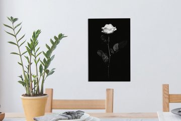 OneMillionCanvasses® Leinwandbild Eine weiße Rose auf schwarzem Hintergrund - schwarz und weiß, (1 St), Leinwandbild fertig bespannt inkl. Zackenaufhänger, Gemälde, 20x30 cm