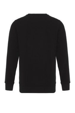 DENIM CULTURE Sweatshirt Ted (1-tlg)