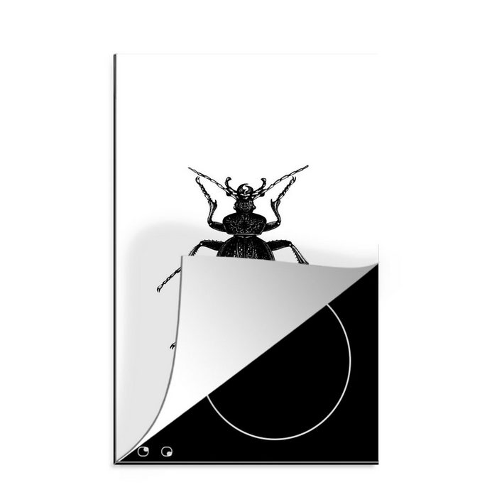 MuchoWow Herdblende-/Abdeckplatte Schwarz und weiß - Käfer - Vintage - Insekten Vinyl (1 tlg) Küchen Dekoration für Induktionsherd Induktionskochfeld