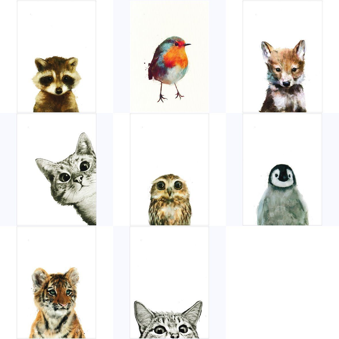 Postkarte n-Set "Little Animals"